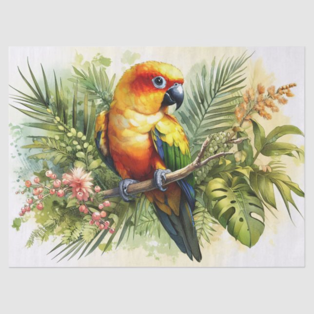 Papier Mousseline Découpage Sun Conure (Recto)