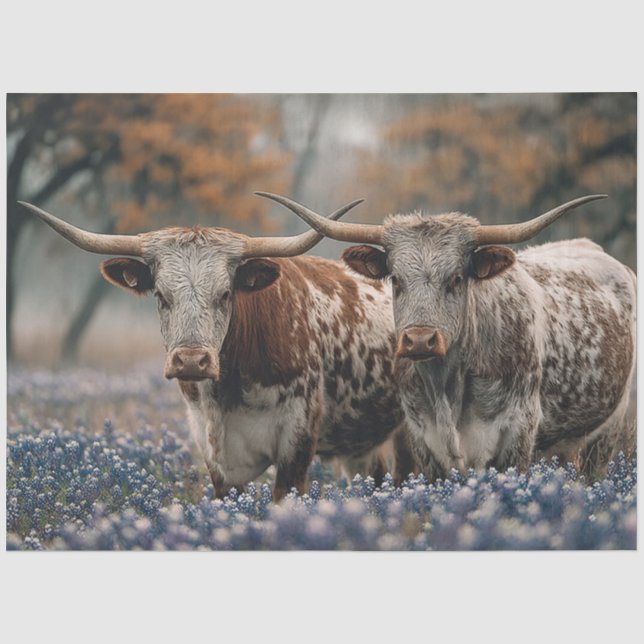 Papier Mousseline Decoupage Texas Longhorns Field Bluebonnet Flowers (Recto)