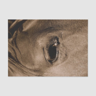 Papier Mousseline Découpage Vintage de Horse Western Rustic