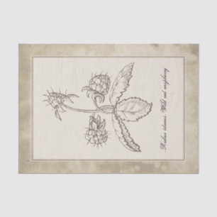 Papier Mousseline Découpage vintage de parchemin de fleurs botanique