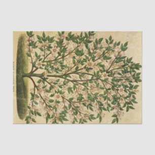 Papier Mousseline Découpage vintage Floral Arbre Vert