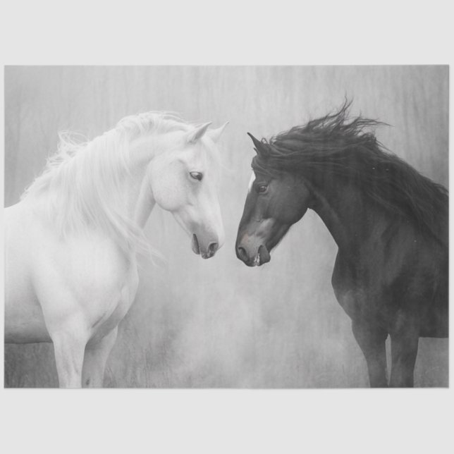 Papier Mousseline Découpage Whimsical Black White Hors Interaction (Recto)