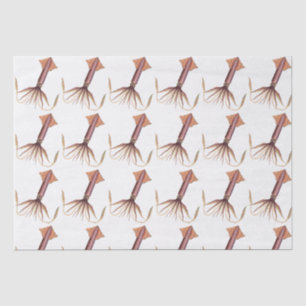 Papier Mousseline Dessin de calmar stylisé vintage #1