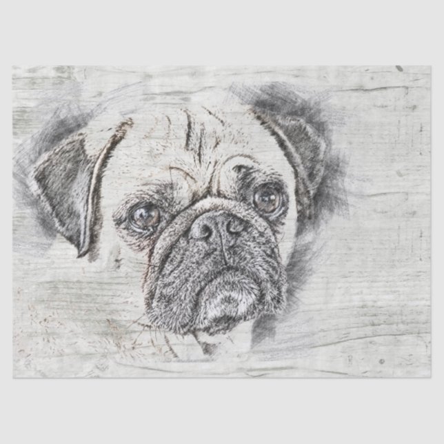 Papier Mousseline Dessin de chien carlin (Recto)