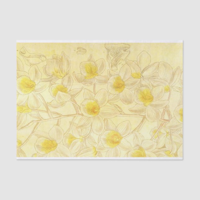 Papier Mousseline Dessin de fleurs anciennes avec découpage jaune (Recto)