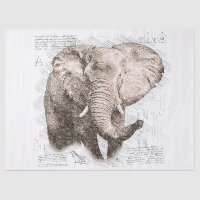Papier Mousseline Dessin des éléphants (Recto)