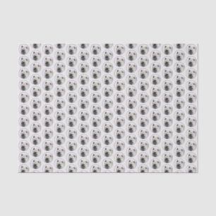 Papier Mousseline Dessin Keeshond Chiot - Joli dessin original Chien