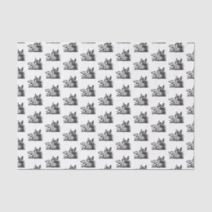 Papier Mousseline Dessin tête de sanglier vintage en noir et blanc