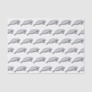 Papier Mousseline Dessin Vintage de Lamantin
