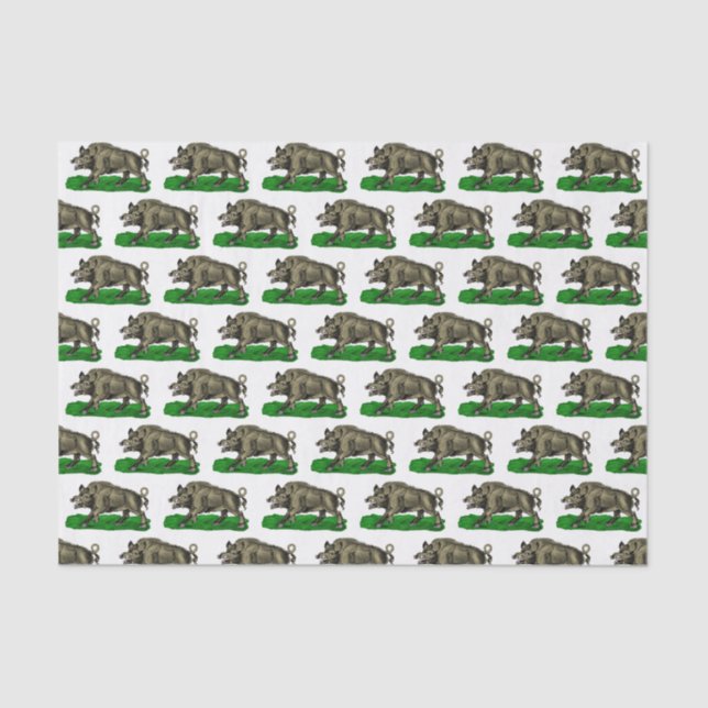 Papier Mousseline Dessin vintage de sanglier BW #3C (Recto)