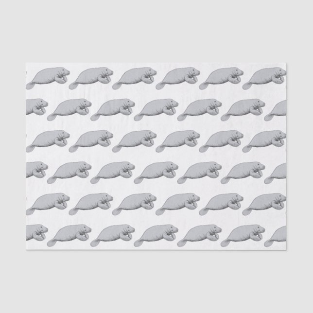Papier Mousseline Dessin vintage Manate (Recto)