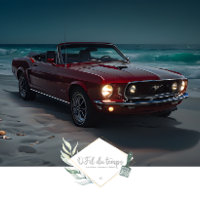 Dessous avant de Muscle Car Beach