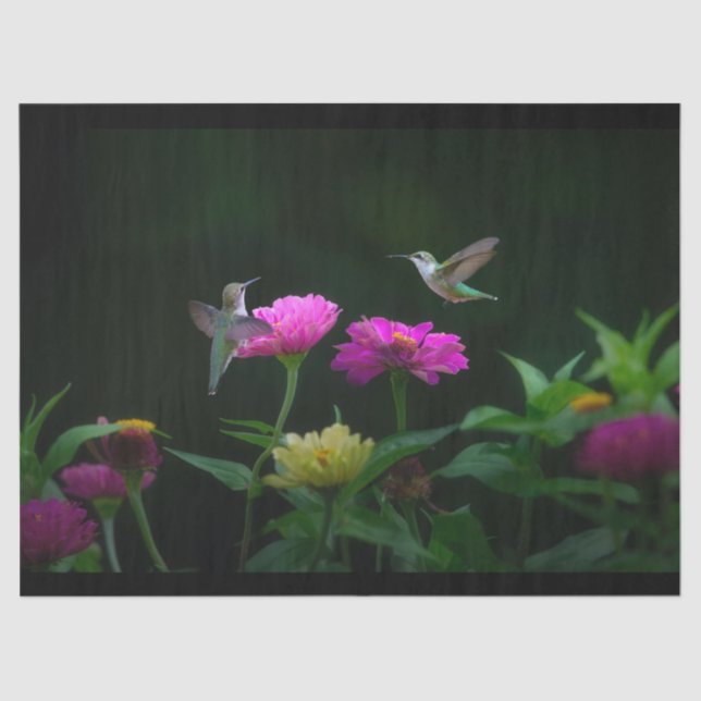 Papier Mousseline Deux Humminbirds, papier de tissus (Recto)