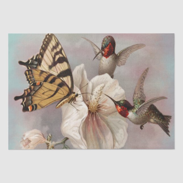 Papier Mousseline Deux oiseaux et papillon Shabby Chic Decoupage (Recto)