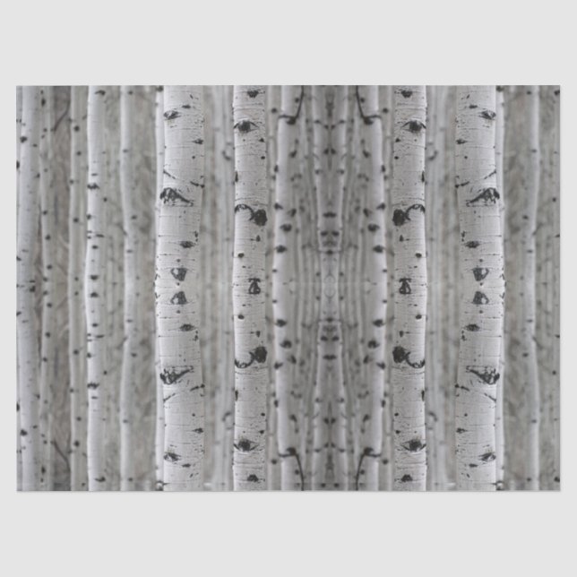 Papier Mousseline Don d'ornithologie (Recto)