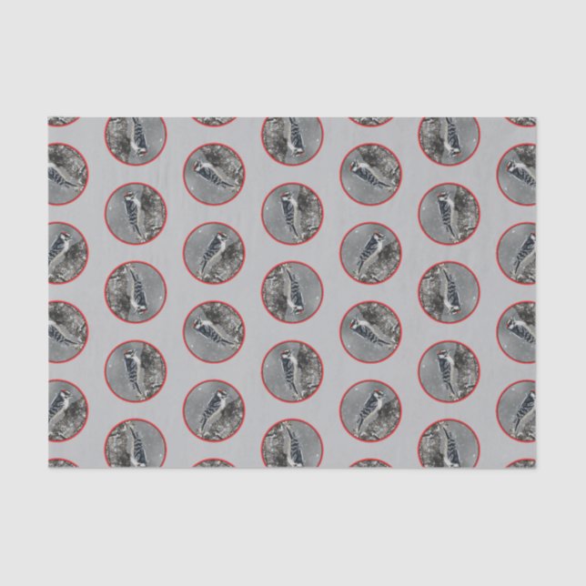 Papier Mousseline Downy Woodpecker en hiver Photo originale (Recto)