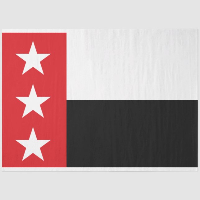 Papier Mousseline Drapeau de Laredo (Texas) (Recto)