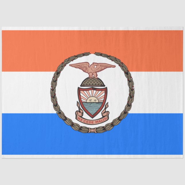 Papier Mousseline Drapeau du Bronx (arrondissement de New York) (Recto)