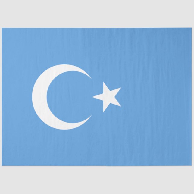 Papier Mousseline Drapeau ouïghour du Turkestan oriental (Uyghurista (Recto)