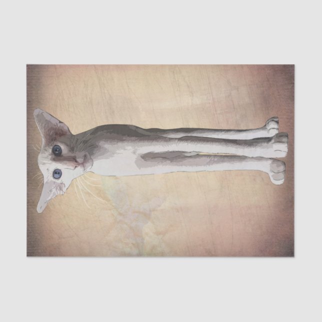 Papier Mousseline Drôle Cartoon Chat Aquarelle (Recto)