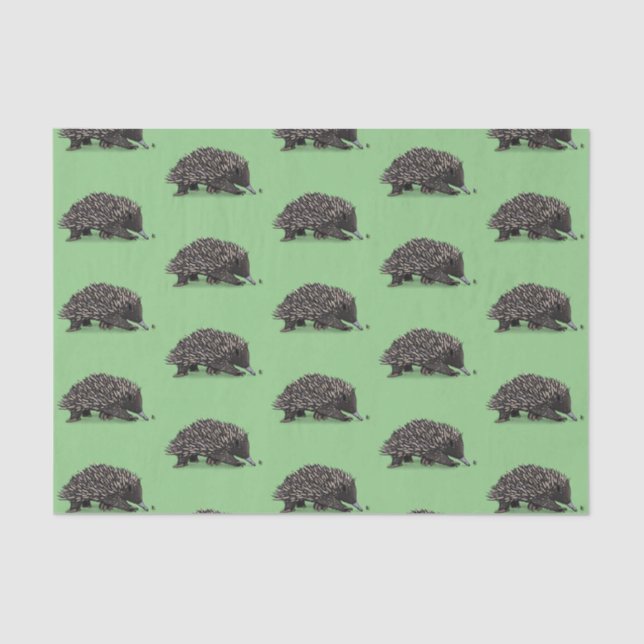 Papier Mousseline Echidna mignonne avec dessin animé d'abeille (Recto)