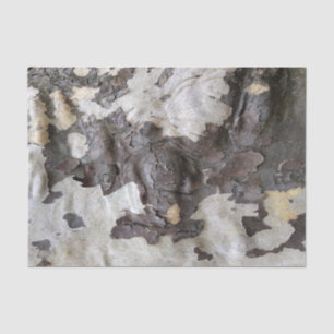 Papier Mousseline Écorce d'arbre Sycamore Peeling et Shedding