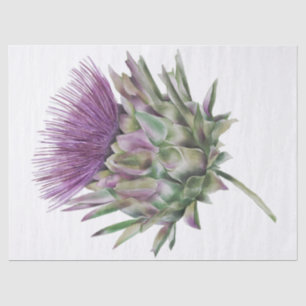 Papier Mousseline Écossais Highland Thistle Watercolor