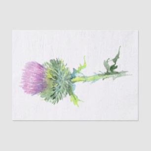Papier Mousseline Écossais Highland Thistle Watercolor