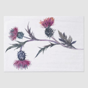 Papier Mousseline Écossais Highland Thistle Watercolor