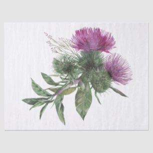 Papier Mousseline Écossais Highland Thistle Watercolor