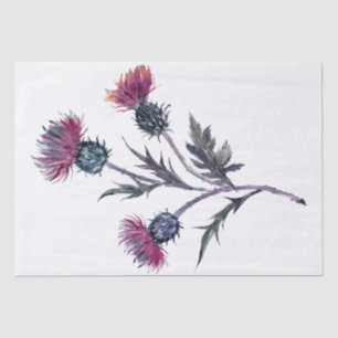 Papier Mousseline Écossais Highland Thistle Watercolor