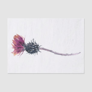 Papier Mousseline Écossais Highland Thistle Watercolor