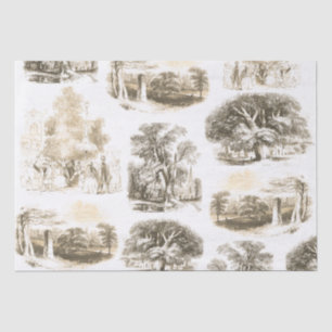 Papier Mousseline Elégant Beige Vintage Or French Country Toile
