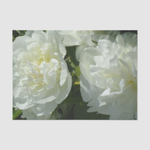 Papier Mousseline Elégant blanc peony floral blanc photo