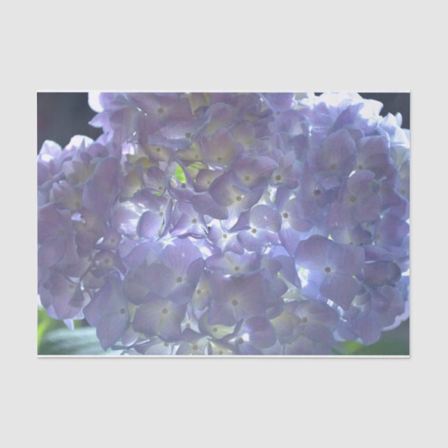 Papier Mousseline Élégant boho poussiéreux floral violet clair fleur (Recto)