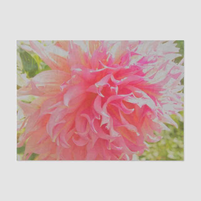 Papier Mousseline Elégant corail et Dahlia décoratif rose (Recto)