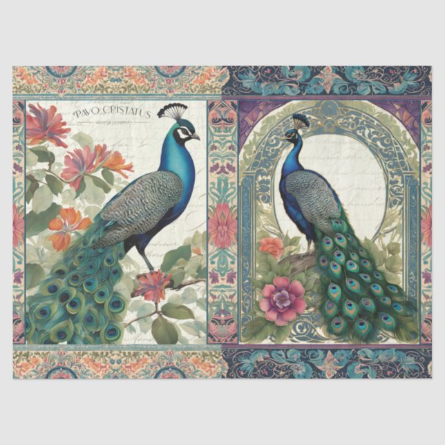 Papier Mousseline Elégant Ephémère Botanique Peacock Paire Découpage (Recto)