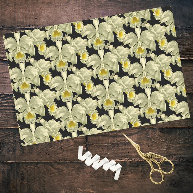 Papier Mousseline Elégant Motif d'orchidée blanche sur Arrière - pla (Créateur téléchargé)