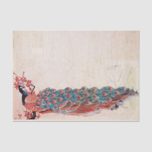 Papier Mousseline Elégant Peacock