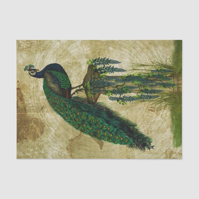Papier Mousseline Elégant Peacock (Recto)