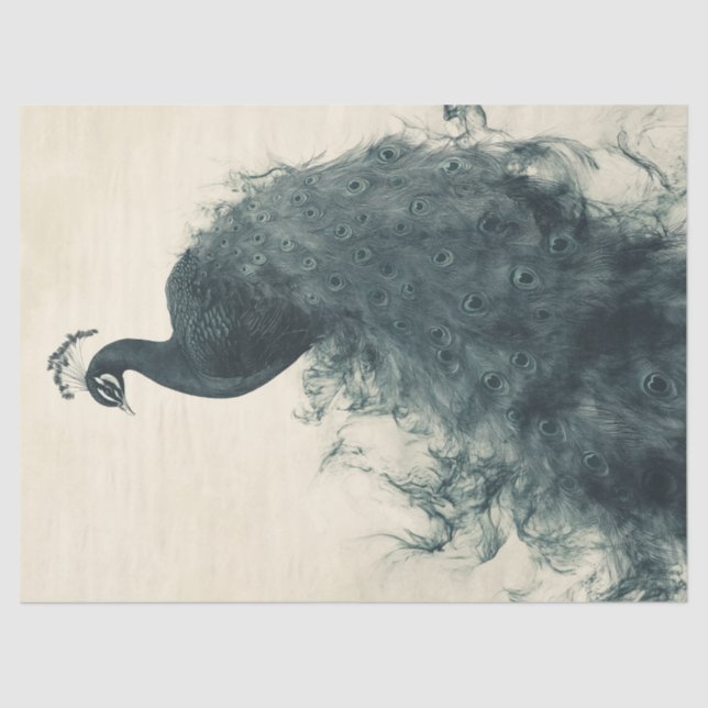 Papier Mousseline Elégant Peacock Ornithologie-Inspiré Découpage Art (Recto)