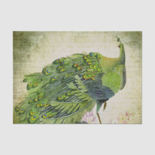 Papier Mousseline Elégant Peacock Vert Vintage