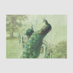 Papier Mousseline Elégant Peacock Vintage