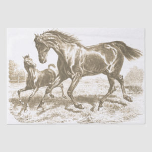Papier Mousseline Élégant Vintage Cheval Mare Foal Love