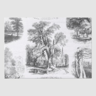 Papier Mousseline Elégant Vintage Noir Blanc Français Toile