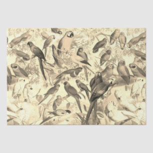 Papier Mousseline Elégant Vintage Oiseaux tropicaux Parrots Beige