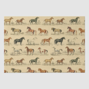 Papier Mousseline Elégant Vintage Rustique Beige Cheige Breeds Toile