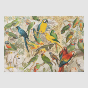 Papier Mousseline Elégant Vintage Tropical Birds Parrots Découpage
