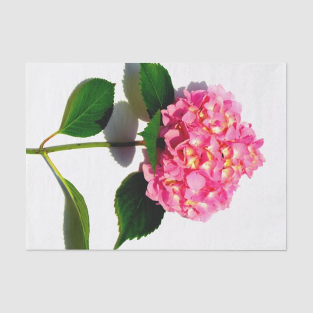 Papier Mousseline Elégante florales roses hydrangée rose (Recto)