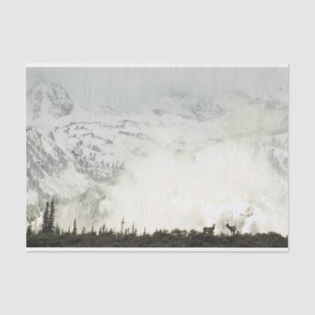 Papier Mousseline Elk at Grand Teton National Park Photographie (Recto)